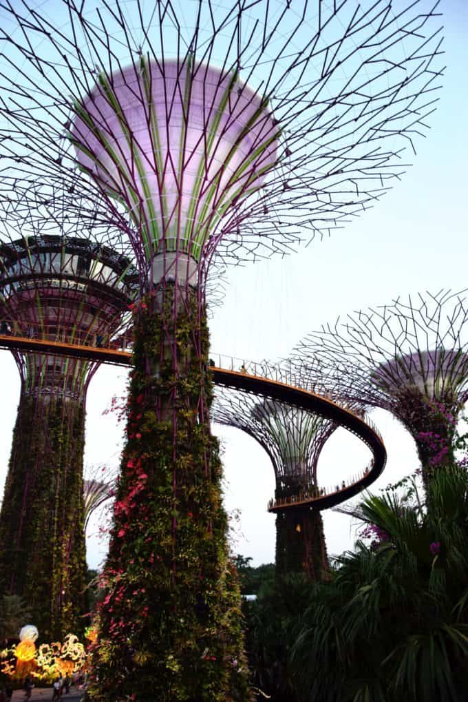 gardens-by-the-bay singapore| Singapore Travel guide